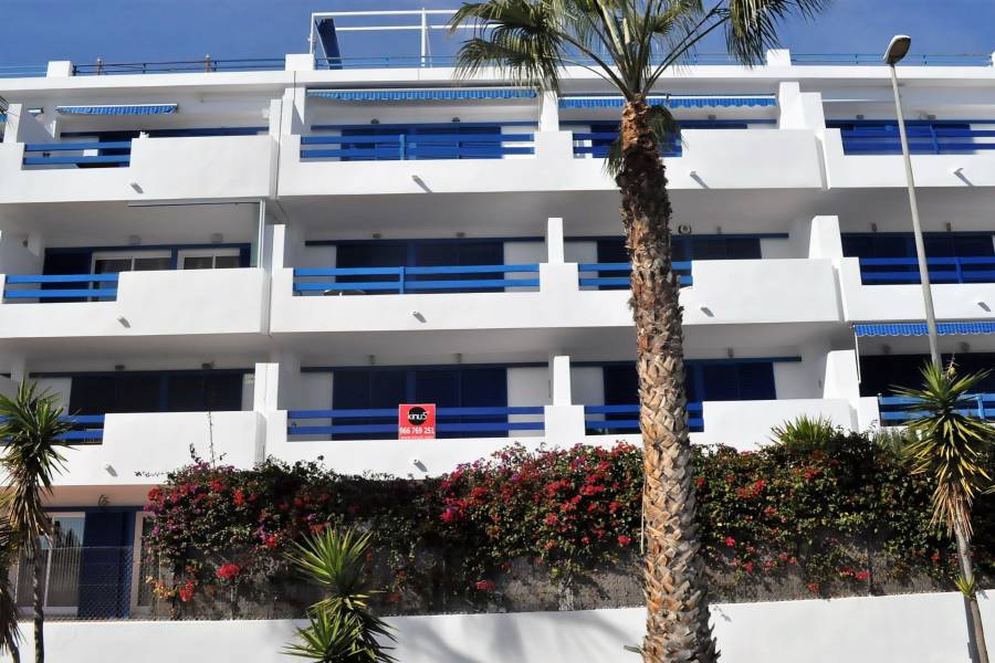 Segunda Mano - Apartamentos - Playa Flamenca