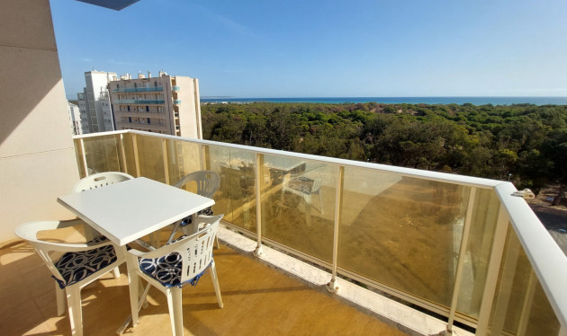 Apartamentos - Reventa - Guardamar del Segura - Guardamar del Segura