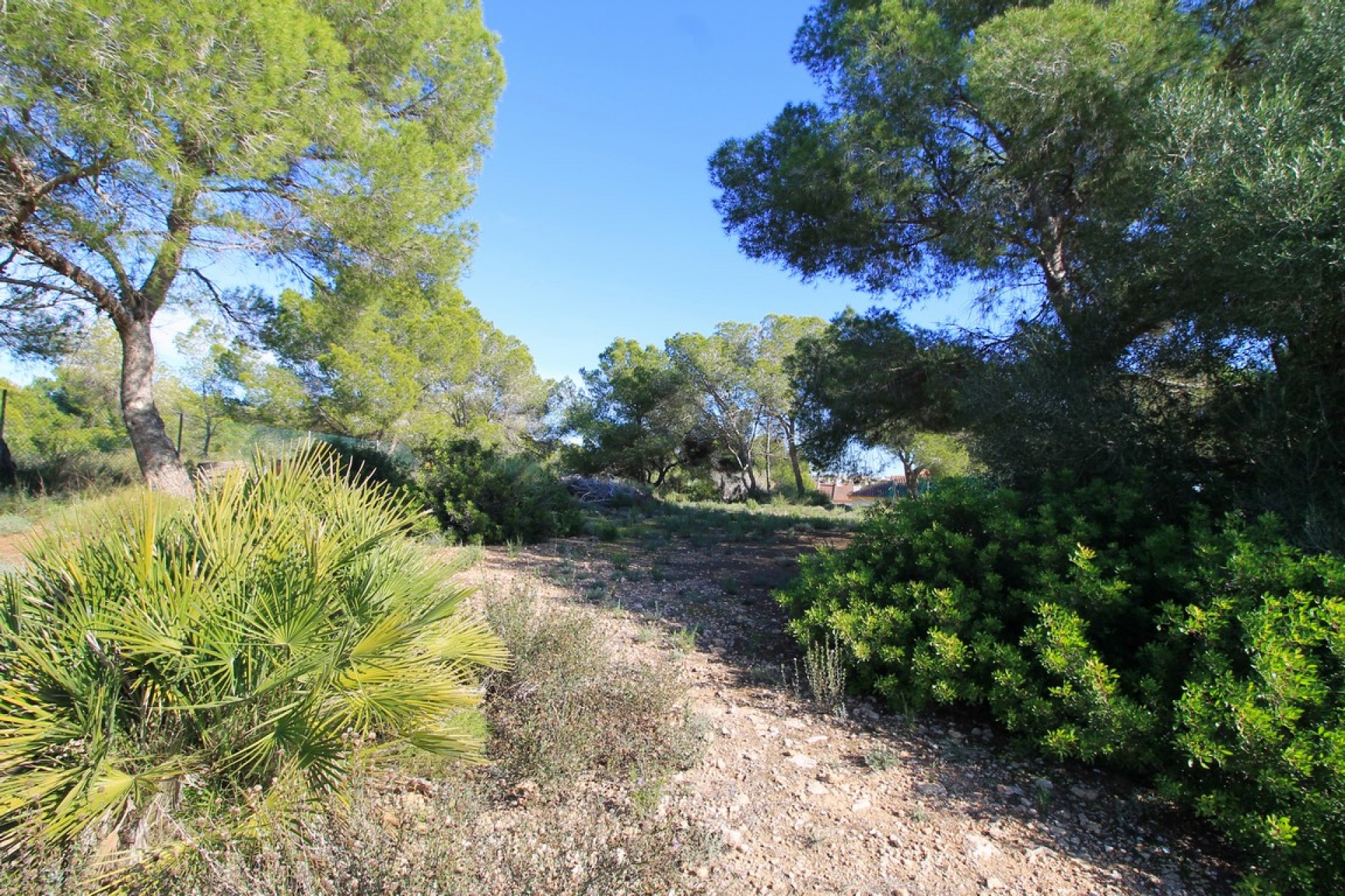 Reventa - Casas/Chalets - Torre de la Horadada - Rio Mar