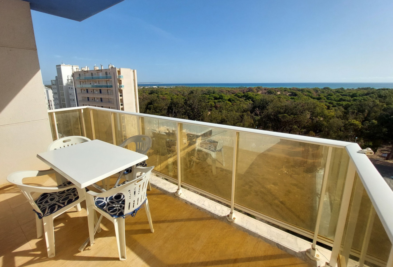 Reventa - Apartamentos - Guardamar del Segura