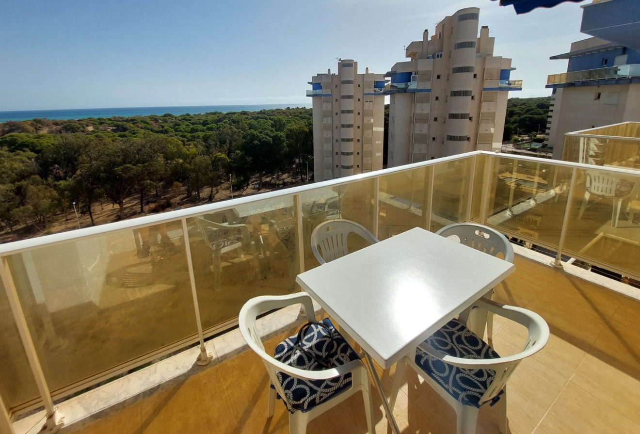 Reventa - Apartamentos - Guardamar del Segura