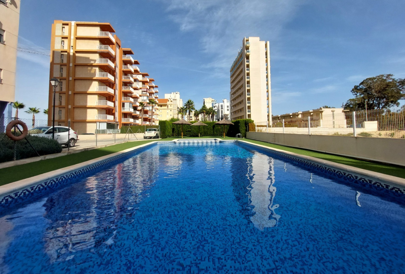 Reventa - Apartamentos - Guardamar del Segura