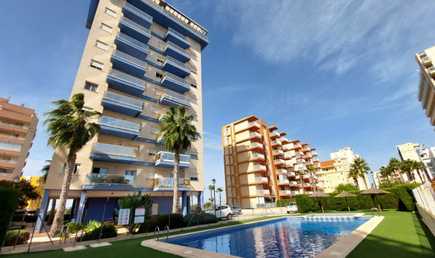 Reventa - Apartamentos - Guardamar del Segura