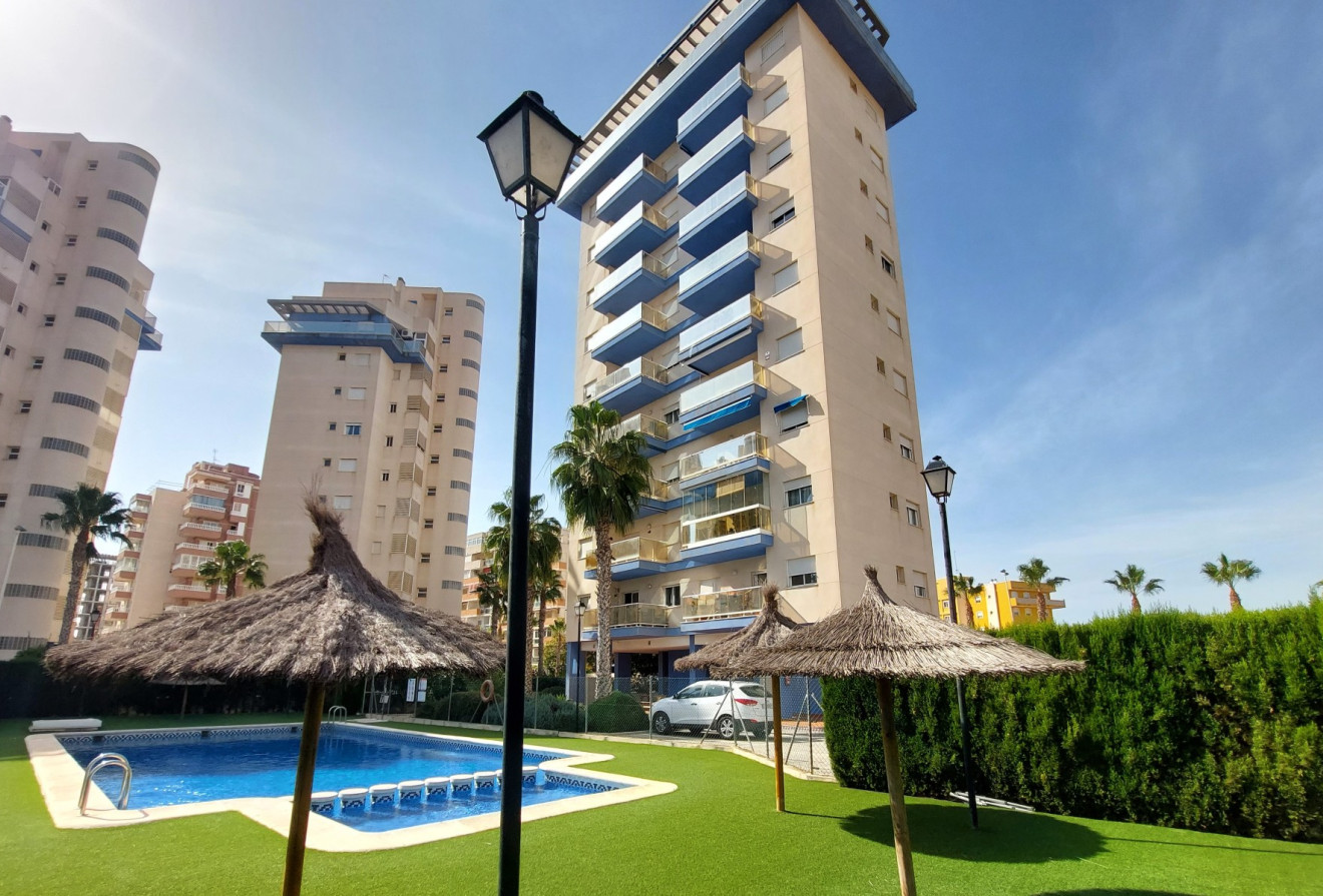 Reventa - Apartamentos - Guardamar del Segura