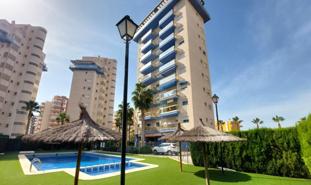 Reventa - Apartamentos - Guardamar del Segura