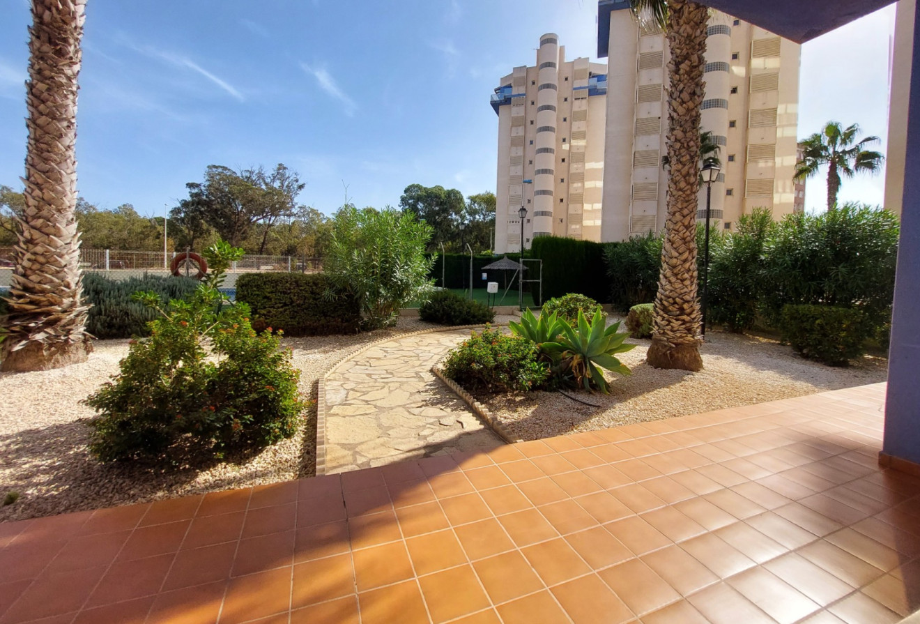 Reventa - Apartamentos - Guardamar del Segura