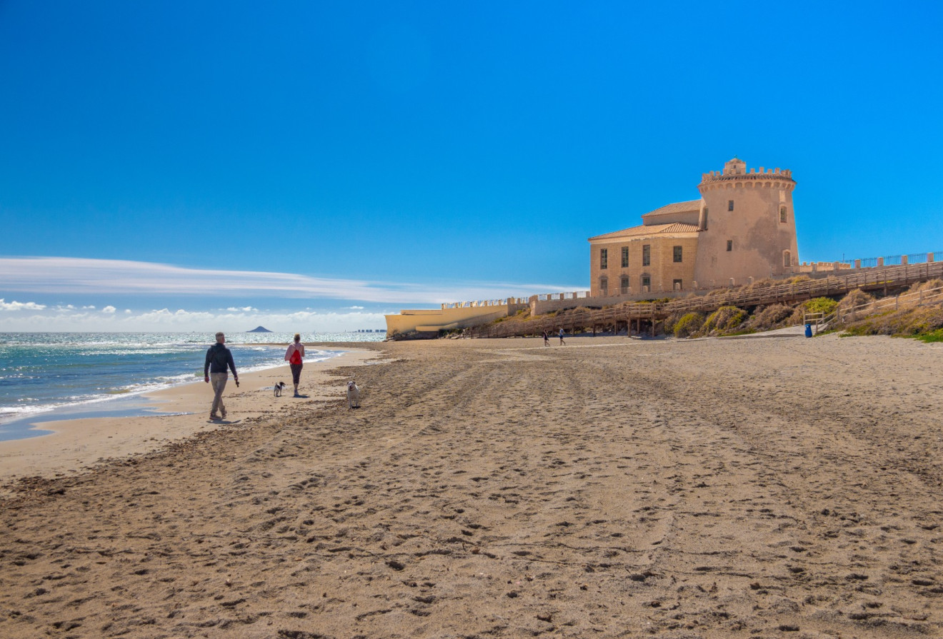 Revente - Attiques - Torre de la Horadada