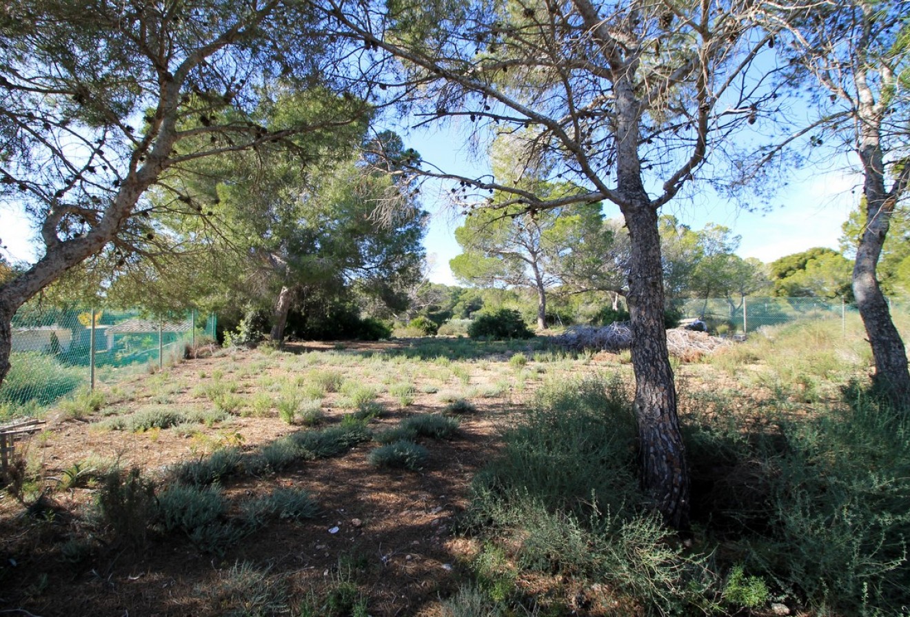 Reventa - Casas/Chalets - Torre de la Horadada - Rio Mar