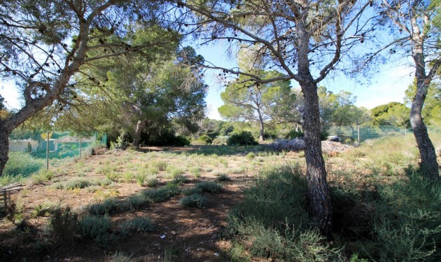 Reventa - Casas/Chalets - Torre de la Horadada - Rio Mar