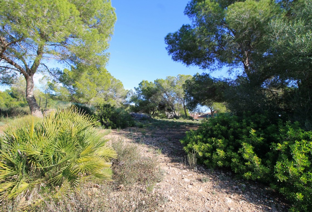 Reventa - Casas/Chalets - Torre de la Horadada - Rio Mar