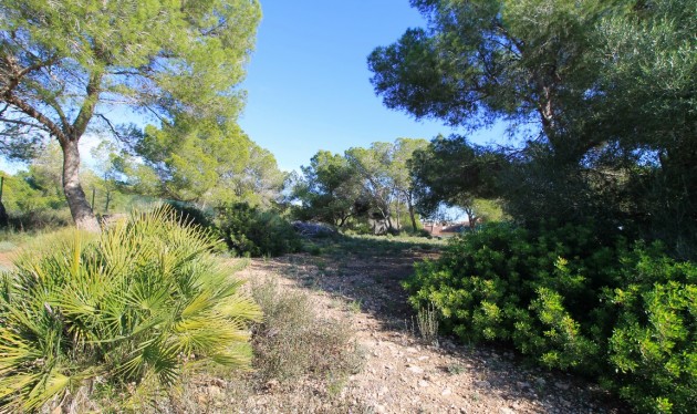 Reventa - Casas/Chalets - Torre de la Horadada - Rio Mar