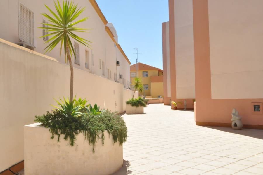 Wiederverkauf - Wohnungen - Cabo Roig