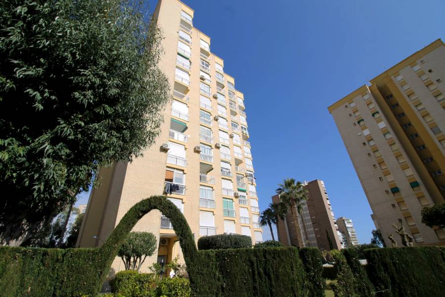Resale - Apartments - Campoamor